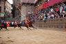 Palio Straordinario: la fotogallery di Benedetta Aucone
