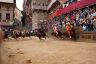Palio Straordinario: la fotogallery di Benedetta Aucone