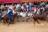 Palio Straordinario: la fotogallery di Benedetta Aucone