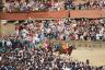 Palio Straordinario: la fotogallery di Benedetta Aucone