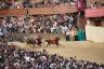 Palio Straordinario: la fotogallery di Benedetta Aucone