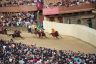 Palio Straordinario: la fotogallery di Benedetta Aucone