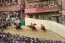 Palio Straordinario: la fotogallery di Benedetta Aucone
