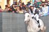 La fotogallery del Palio di Buti 2020