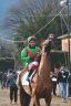 La fotogallery del Palio di Buti 2020