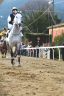 La fotogallery del Palio di Buti 2020