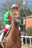 La fotogallery del Palio di Buti 2020