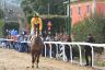 La fotogallery del Palio di Buti 2020