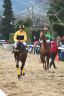 La fotogallery del Palio di Buti 2020