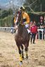 La fotogallery del Palio di Buti 2020