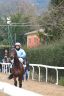 La fotogallery del Palio di Buti 2020