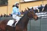 La fotogallery del Palio di Buti 2020