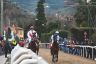 La fotogallery del Palio di Buti 2020