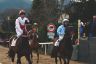 La fotogallery del Palio di Buti 2020