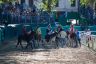 La fotogallery del Palio di Ferrara 2019