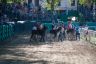 La fotogallery del Palio di Ferrara 2019