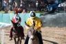 La fotogallery del Palio di Ferrara 2019