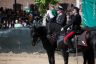 La fotogallery del Palio di Ferrara 2019