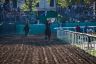 La fotogallery del Palio di Ferrara 2019