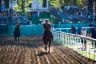 La fotogallery del Palio di Ferrara 2019