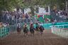 La fotogallery del Palio di Ferrara 2019