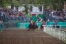 La fotogallery del Palio di Ferrara 2019