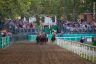 La fotogallery del Palio di Ferrara 2019
