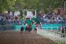La fotogallery del Palio di Ferrara 2019