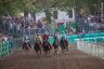 La fotogallery del Palio di Ferrara 2019