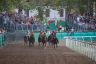 La fotogallery del Palio di Ferrara 2019
