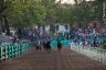 La fotogallery del Palio di Ferrara 2019