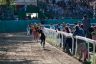 La fotogallery del Palio di Ferrara 2019