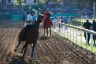 La fotogallery del Palio di Ferrara 2019