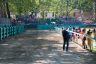 La fotogallery del Palio di Ferrara 2019