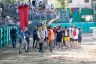 La fotogallery del Palio di Ferrara 2019