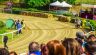 La fotogallery del Palio di Fucecchio 2019