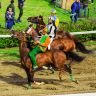 La fotogallery del Palio di Fucecchio 2019