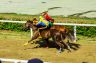 La fotogallery del Palio di Fucecchio 2019