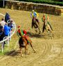 La fotogallery del Palio di Fucecchio 2019