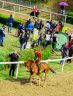 La fotogallery del Palio di Fucecchio 2019