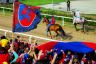 La fotogallery del Palio di Fucecchio 2019