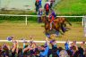 La fotogallery del Palio di Fucecchio 2019