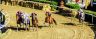 La fotogallery del Palio di Fucecchio 2019