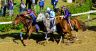 La fotogallery del Palio di Fucecchio 2019