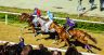 La fotogallery del Palio di Fucecchio 2019