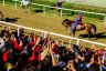 La fotogallery del Palio di Fucecchio 2019