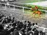 La fotogallery del Palio di Fucecchio 2019