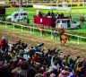 La fotogallery del Palio di Fucecchio 2019