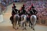 Palio 2 luglio 2019: la fotogallery di Antonio Fraioli