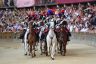 Palio 2 luglio 2019: la fotogallery di Antonio Fraioli